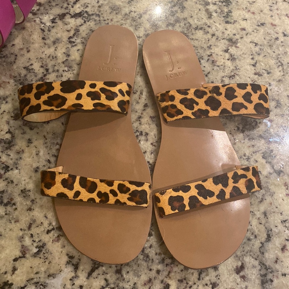 Jcrew Animal pint slides